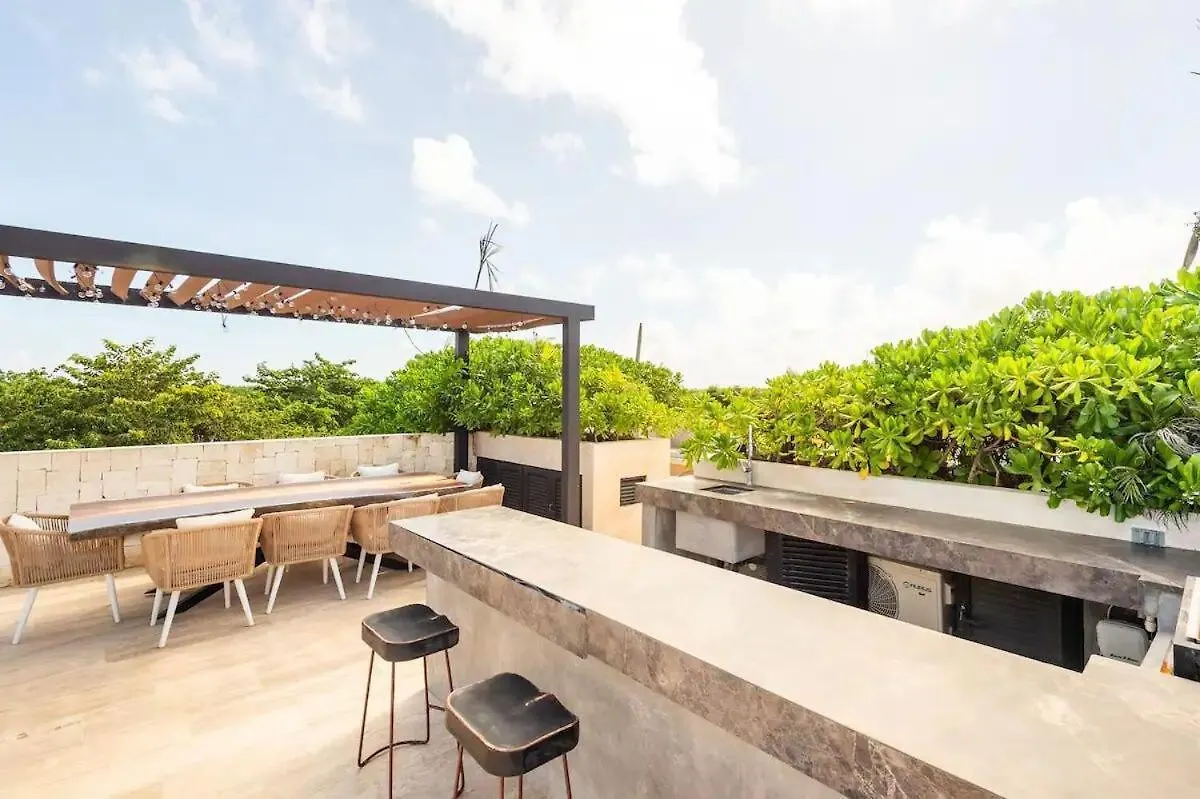 Focus La Veleta Nature Haven Tulum